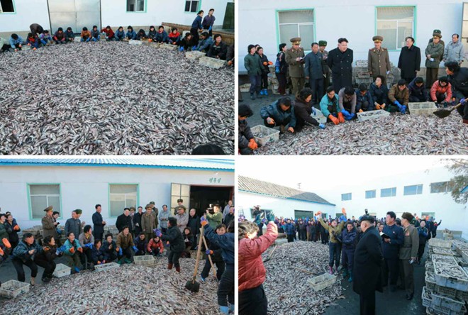 Ông Kim Jong-un cùng em gái thị sát nhà máy thuỷ sản quân đội Ông Kim Jong-un cùng em gái thị sát nhà máy thuỷ sản quân đội