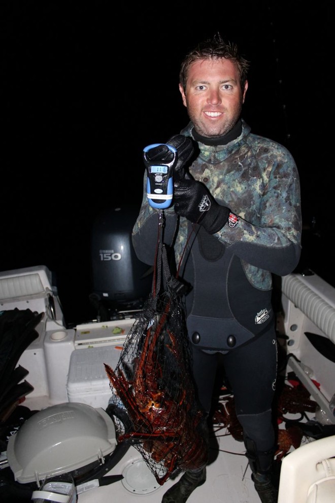 Phát hiện tôm hùm 70 tuổi, nặng 5,5 kg