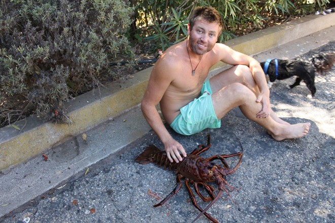 Phát hiện tôm hùm 70 tuổi, nặng 5,5 kg