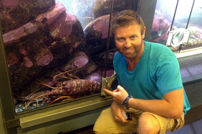 Phát hiện tôm hùm 70 tuổi, nặng 5,5 kg