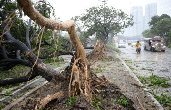 Chùm ảnh người dân Philippines hứng chịu siêu bão Rammasun