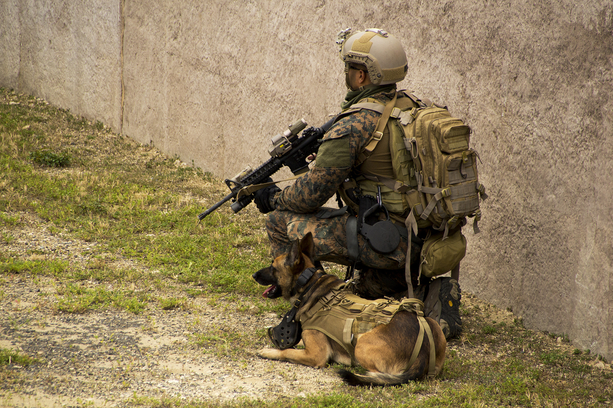 Phô diễn khí tài quân sự tại tập trận hải quân RIMPAC 2014