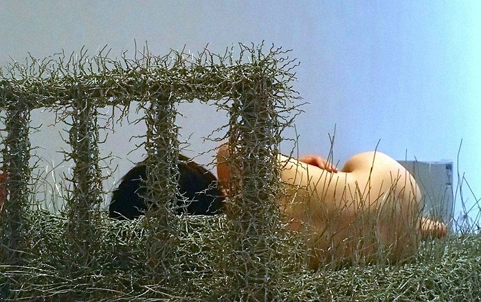 Thiếu nữ khỏa thân nằm trên thép vì nghệ thuật