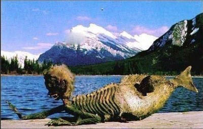 Sốc: Phát hiện xác ‘nàng tiên cá’ trên bãi biển ở Philippines