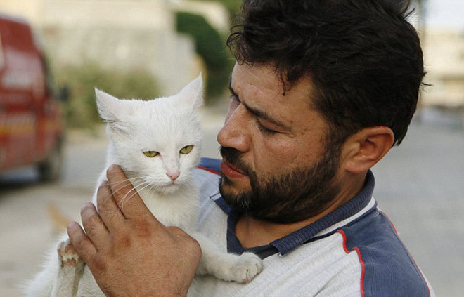 Tài xế Syria chăm sóc 150 con mèo bị bỏ rơi vì chiến tranh  