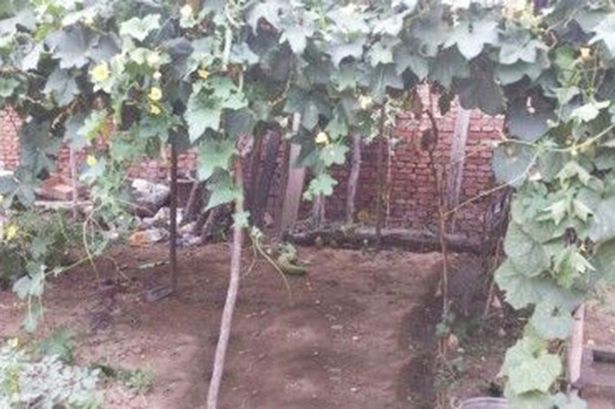 Người mẹ trầm cảm nhẫn tâm chặt đầu con trai mình ở Trung Quốc