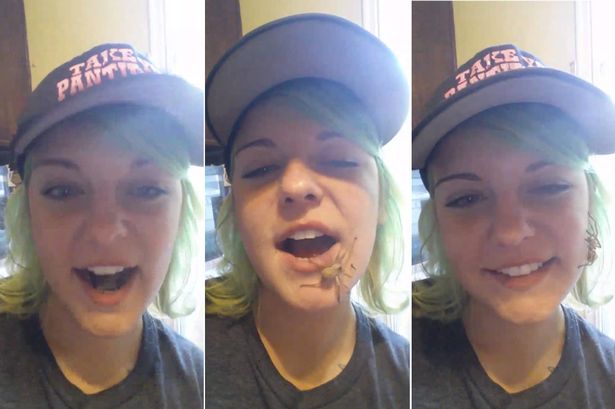 Video: Cô gái trẻ ngậm con nhện trong miệng gây sốt trên internet Video: Cô gái trẻ ngậm con nhện trong miệng gây sốt trên internet