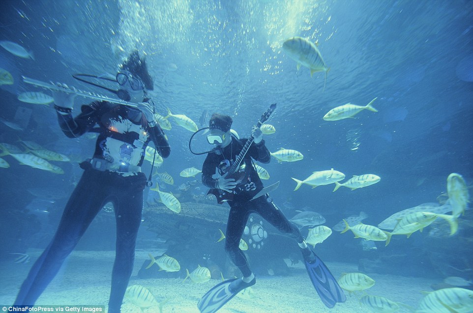 TQ: Nhà hàng kỷ niệm Trung thu bằng bữa tiệc dưới 