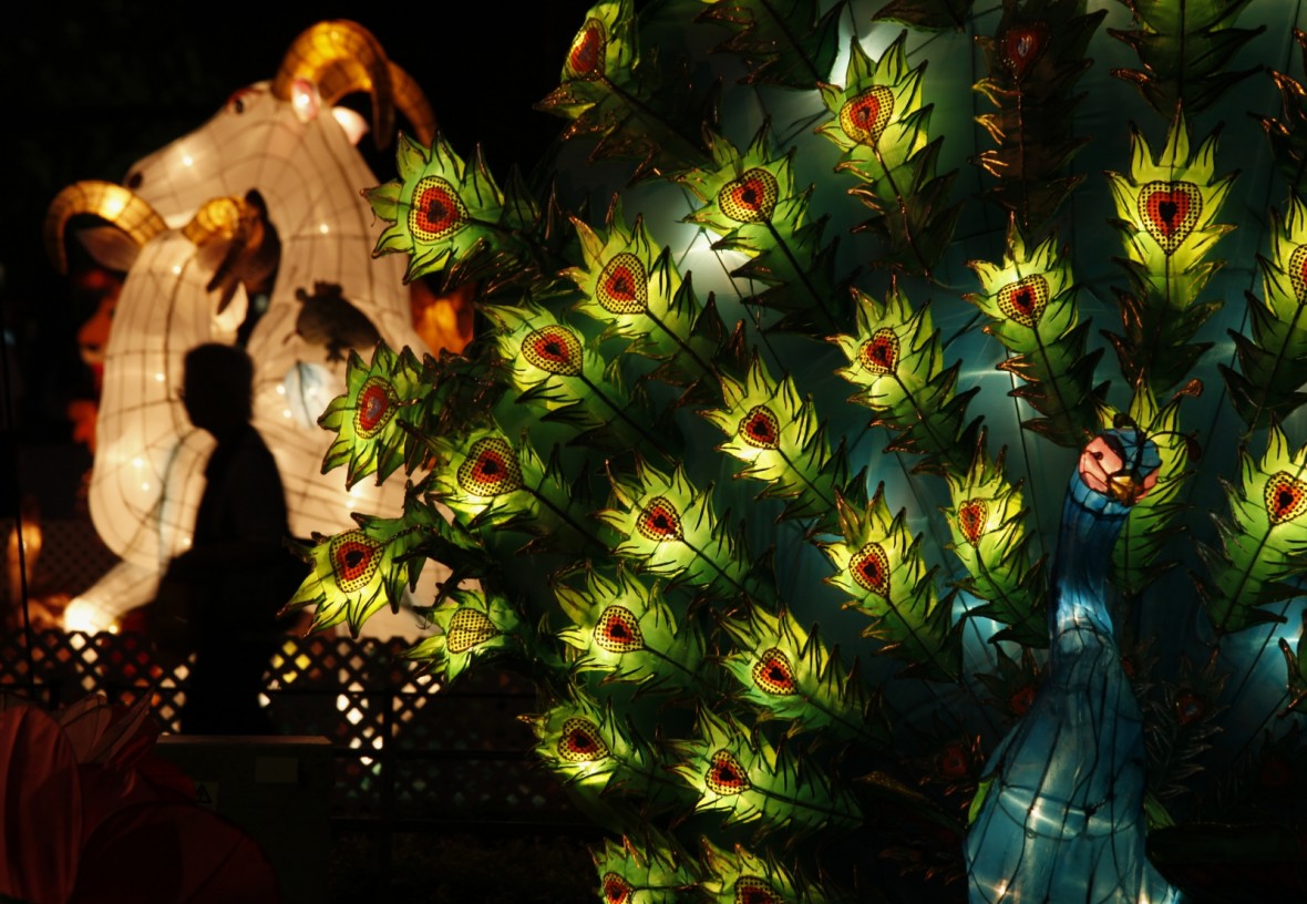 Các quốc gia châu Á tưng bừng kỷ niệm dịp Tết Trung thu