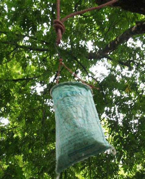 Mùa sấu, chủ “thầu” kiếm 5 triệu đồng/ngày