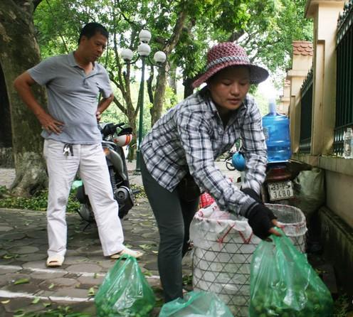 Mùa sấu, chủ “thầu” kiếm 5 triệu đồng/ngày