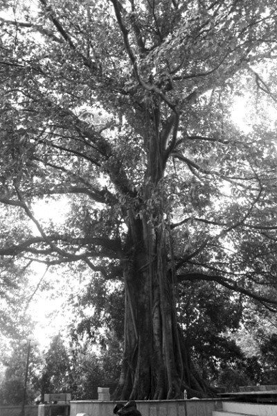 Về nơi khai sinh ngày thương binh, liệt sỹ 27/7