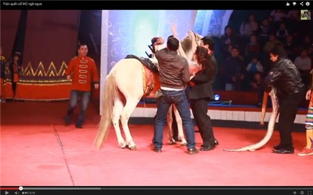 Khoảnh khắc hiếm thấy của các BTV nổi tiếng VTV