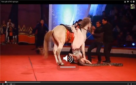 Khoảnh khắc hiếm thấy của các BTV nổi tiếng VTV