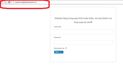 Đại diện công ty VN Pharma nói gì sau khi Tổng giám đốc bị bắt?