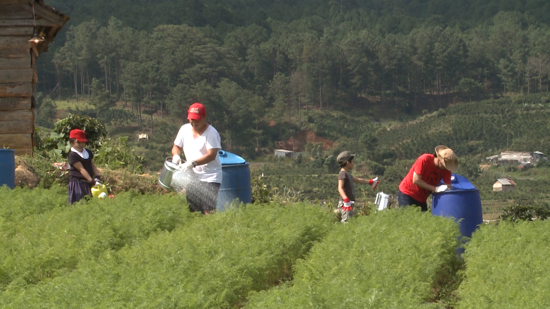 Bố ơi! Mình đi đâu thế?Tập 4: Tê Giác oà khóc khi tiếp tục thua c