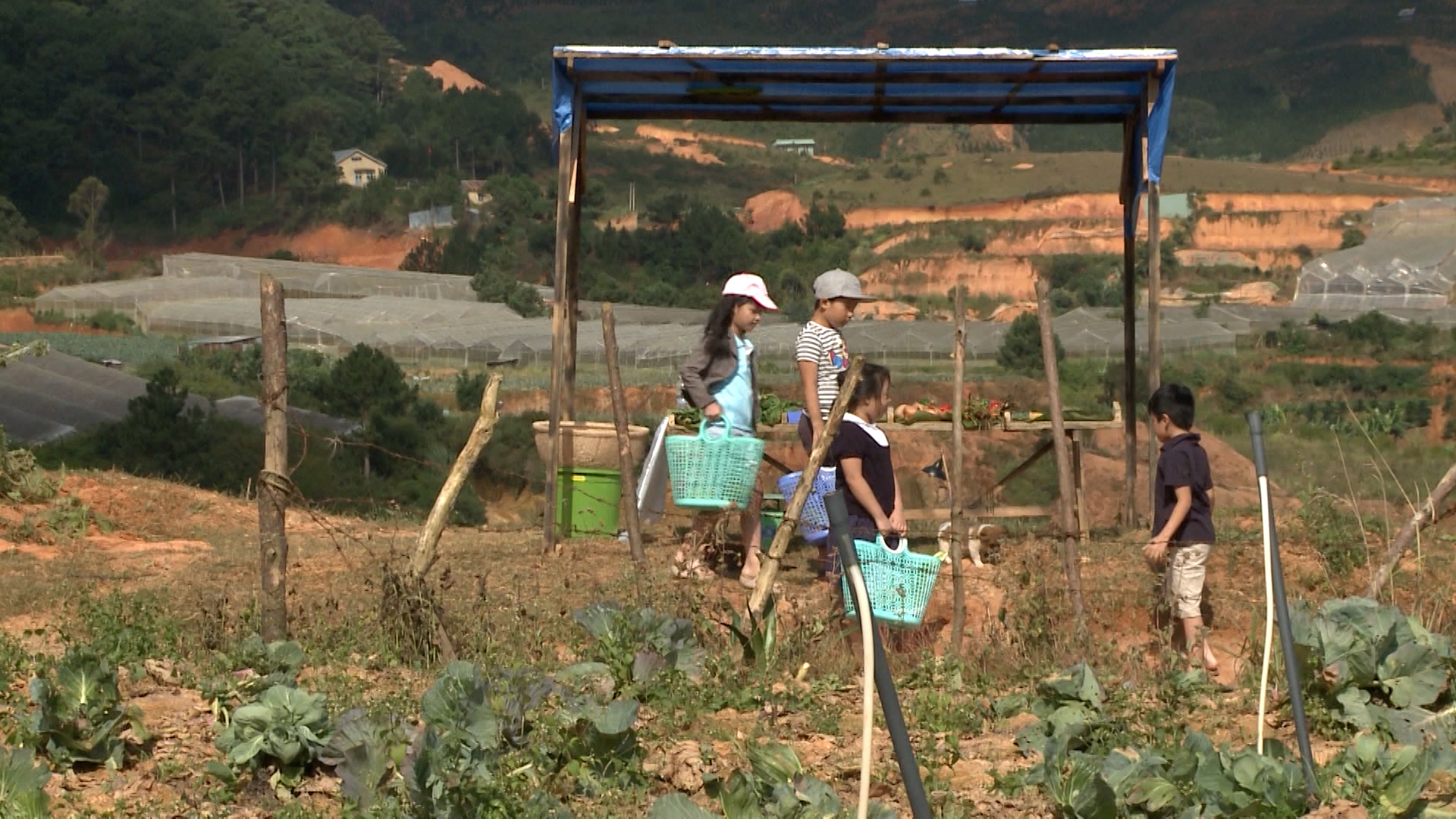 Bố ơi! Mình đi đâu thế?Tập 4: Tê Giác oà khóc khi tiếp tục thua c