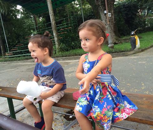 Tôm – Tép nhà Hồng Nhung giúp mẹ trang trí cây thông Noel Tôm – Tép nhà Hồng Nhung giúp mẹ trang trí cây thông Noel