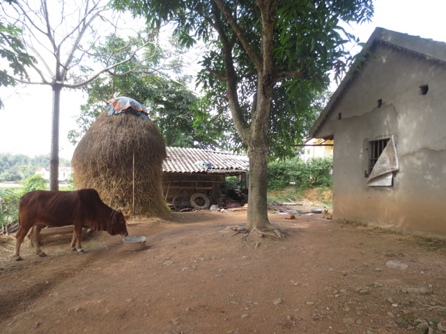Vụ cha đốt con: “Nếu tôi không đến nhanh chắc cháu chết cháy rồi