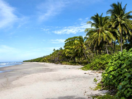 Những bãi 'tắm tiên' khiến bạn phải bỏng mắt