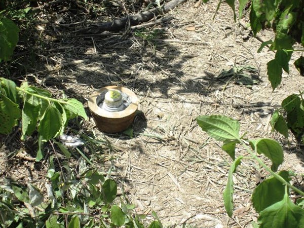 Cưa đầu đạn, hai người đàn ông chết thảm