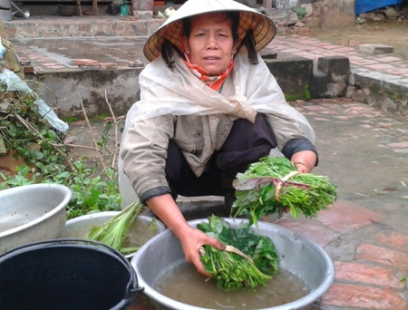 “Mẹ ơi đừng chết, cơm rau mẹ nấu con thấy vẫn ngon” “Mẹ ơi đừng chết, cơm rau mẹ nấu con thấy vẫn ngon”