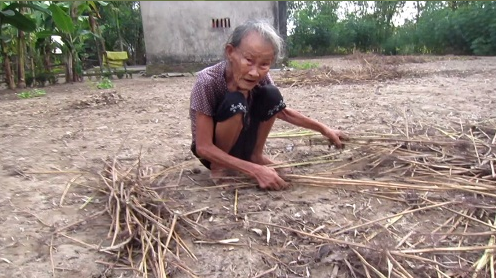  Mẹ già 90 vật lộn nuôi hai con tâm thần