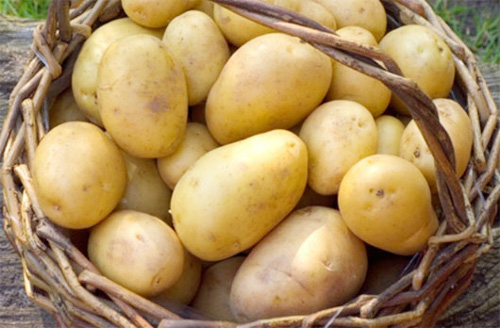 Vì sao khi ăn khoai tây phải gọt vỏ?