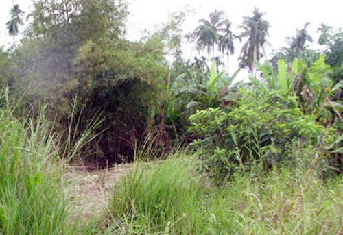 Cuộc đời tù tội của kẻ giết vợ sắp cưới sau 2 tháng chung sống Cuộc đời tù tội của kẻ giết vợ sắp cưới sau 2 tháng chung sống