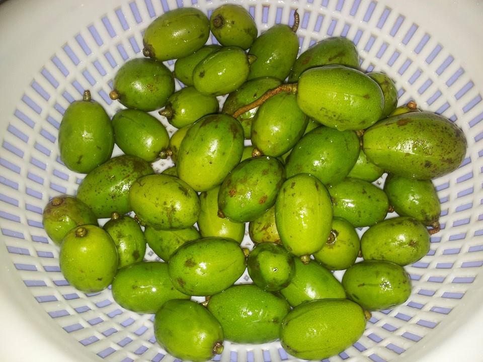 Tự làm cóc dầm ngon “ứa nước miếng”