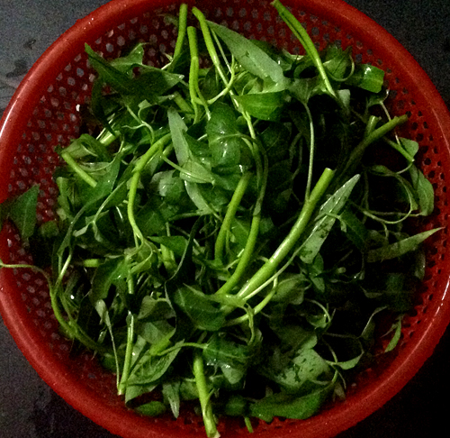 Trổ tài làm nộm rau muống trộn xoài ngon miệng Trổ tài làm nộm rau muống trộn xoài ngon miệng