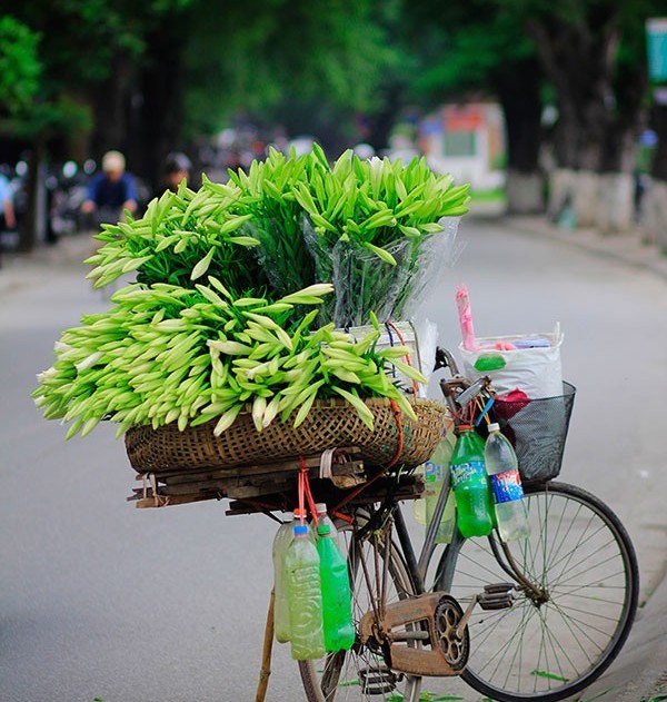 60 điều để yêu và để nhớ Hà Nội
