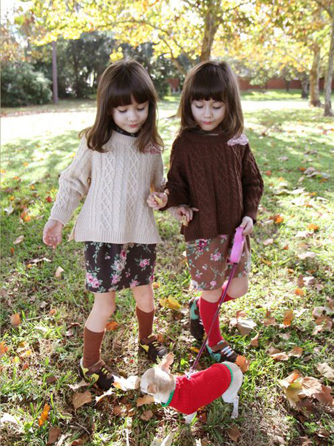 Vẻ đẹp tan chảy mọi ánh nhìn của cặp chị em song sinh lai Hàn