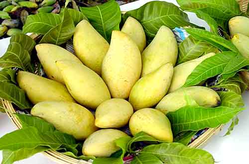 Cải thiện “chuyện yêu” nhờ ăn xoài