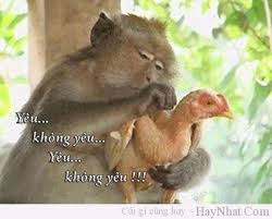 Cùng xả stress với những hình ảnh siêu hài hước 