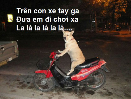 Đến thượng đế cũng phải cười với những hình ảnh cực khó đỡ