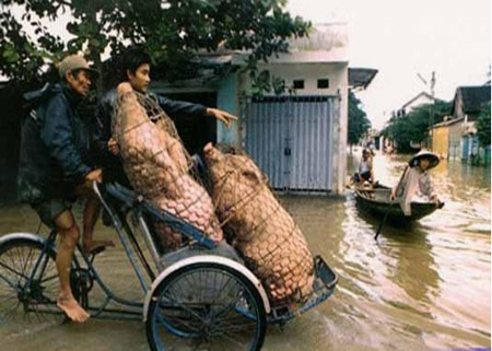 Đến thượng đế cũng phải cười với những hình ảnh cực khó đỡ