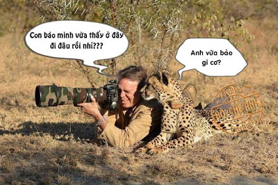 Chết cười với những hình ảnh khó đỡ nhất Chết cười với những hình ảnh khó đỡ nhất