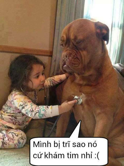 Cười lăn lóc, phát khóc với những hình ảnh chế “vô đối” 