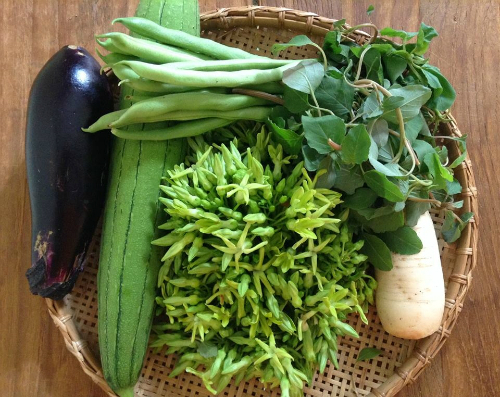 Giám đốc vùng bỏ việc nghìn đô đi bán rau online