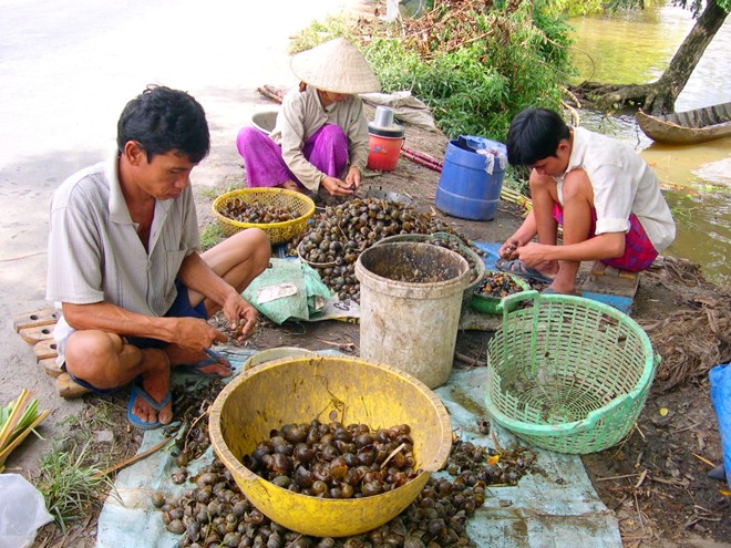 Lại nhen nhúm Lại nhen nhúm