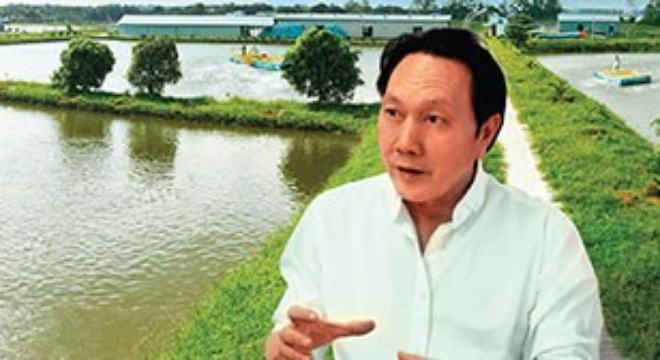 Hậu tái xuất, người tình Mỹ Tâm xin tăng vốn nghìn tỷ