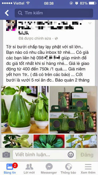 Công ty sản xuất bưởi bàn tay Phật hủy hợp tác với đại lý 