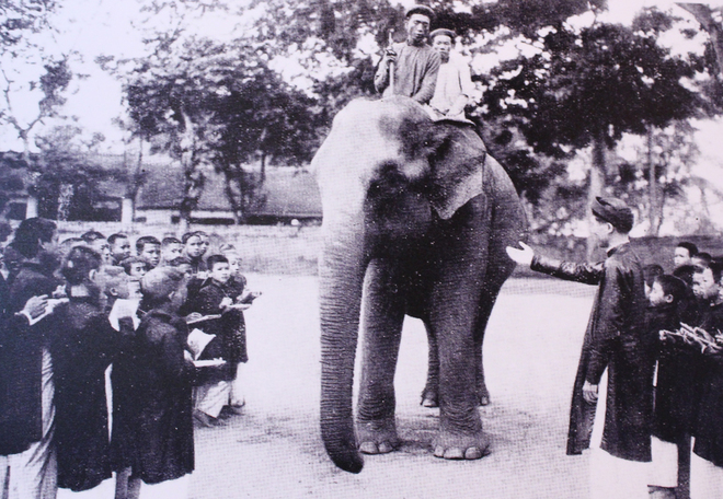 Giáo dục Việt Nam cách đây hơn 100 năm