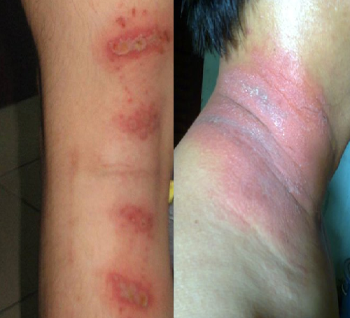 Người dân thủ đô 