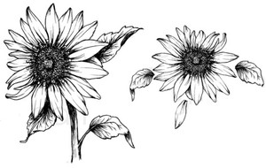 Cách làm thiệp 20/11 handmade đẹp nhất tặng thầy, cô