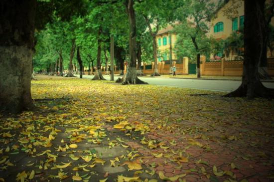 Ngày 20/11: Những bài văn xúc động viết về thầy cô, giáo