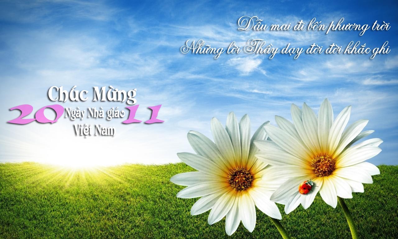 Ngày 20/11: Những bài văn xúc động viết về thầy cô, giáo