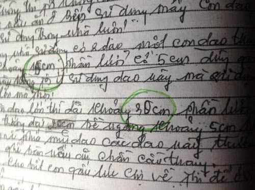 Vật chứng kết tội Hồ Duy Hải được mua ngoài chợ? 