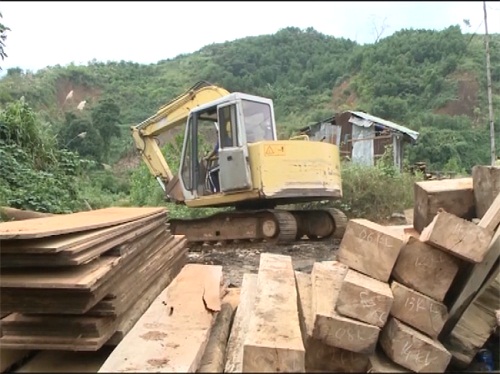 Hàng chục mét khối gỗ chôn gần xưởng mộc